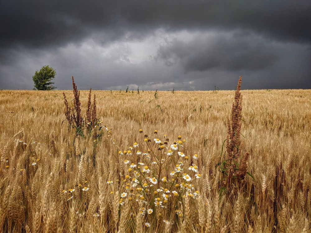 Photograph by Светлана Кондрашова