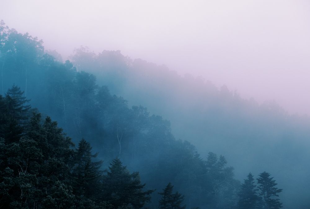 Photograph by Артём Юленков