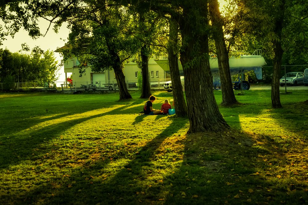 Фотография автора Nomin Jerabek