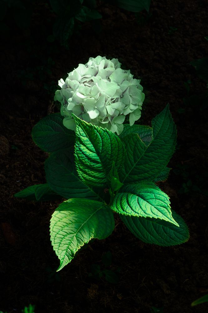 Photograph by Яна Туманова