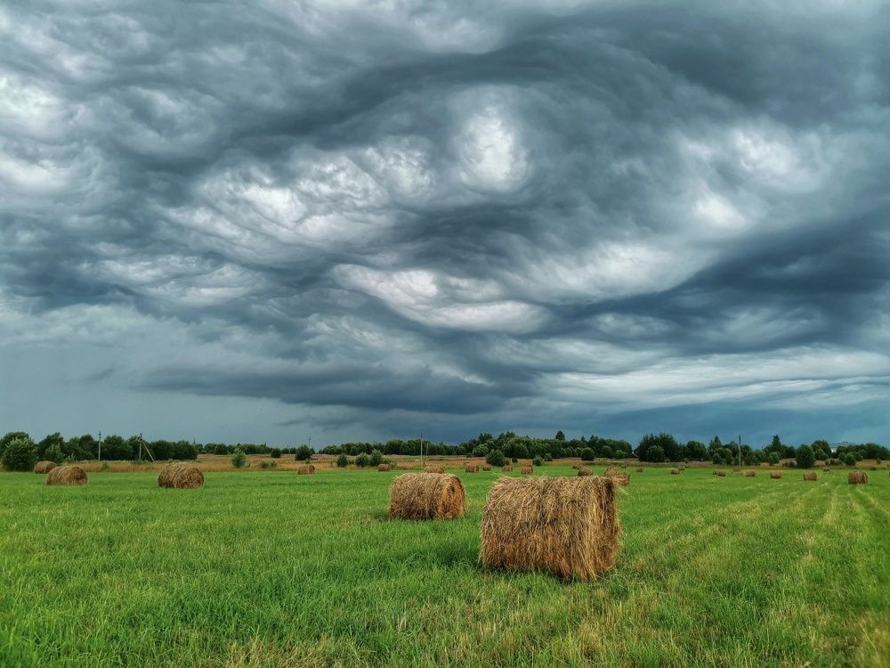 Photograph by Андрей Шестаков