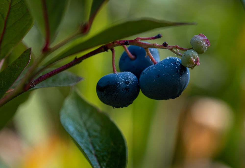 Photograph by Татьяна Бегун