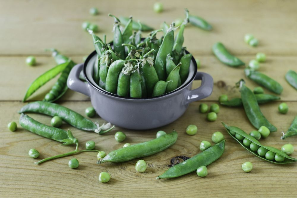 Photograph by Антонина Басалай