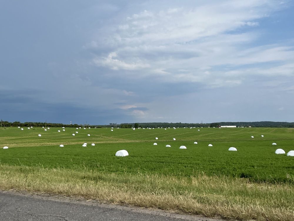 Photograph by Болдырева Ольга