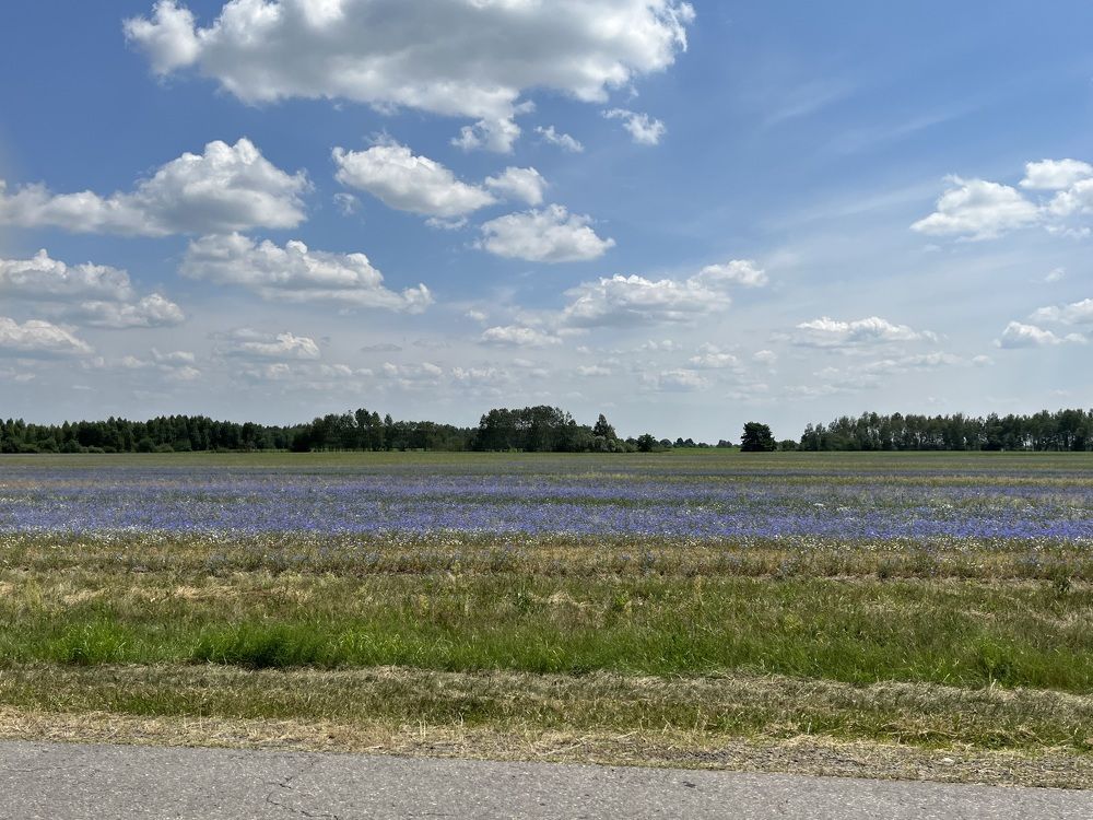 Photograph by Болдырева Ольга