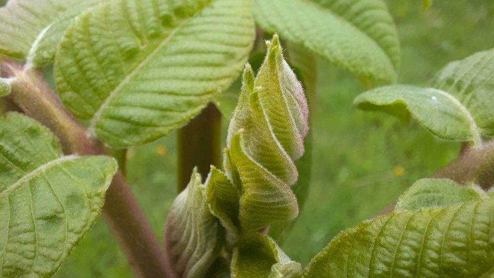 Photograph by Михаил Трусов