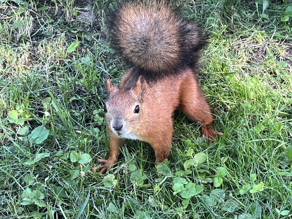 Photograph by Болдырева Ольга