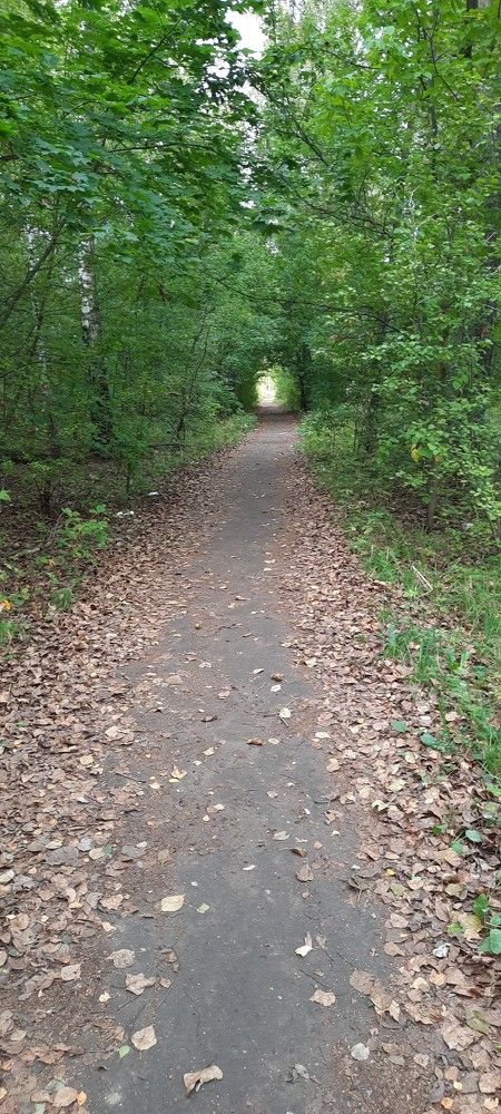 Photograph by Михаил Трусов