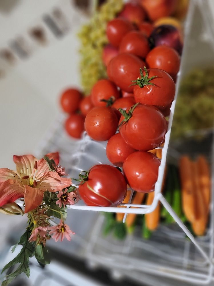 Photograph by Rahele Almassi