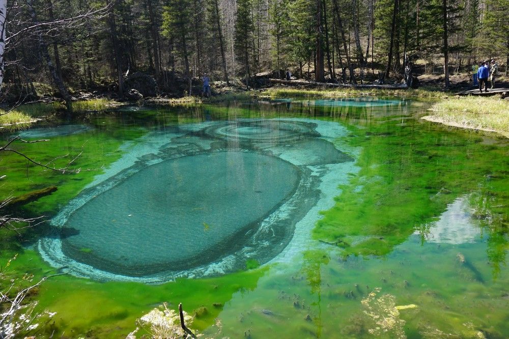 Photograph by Алфия Бугакова