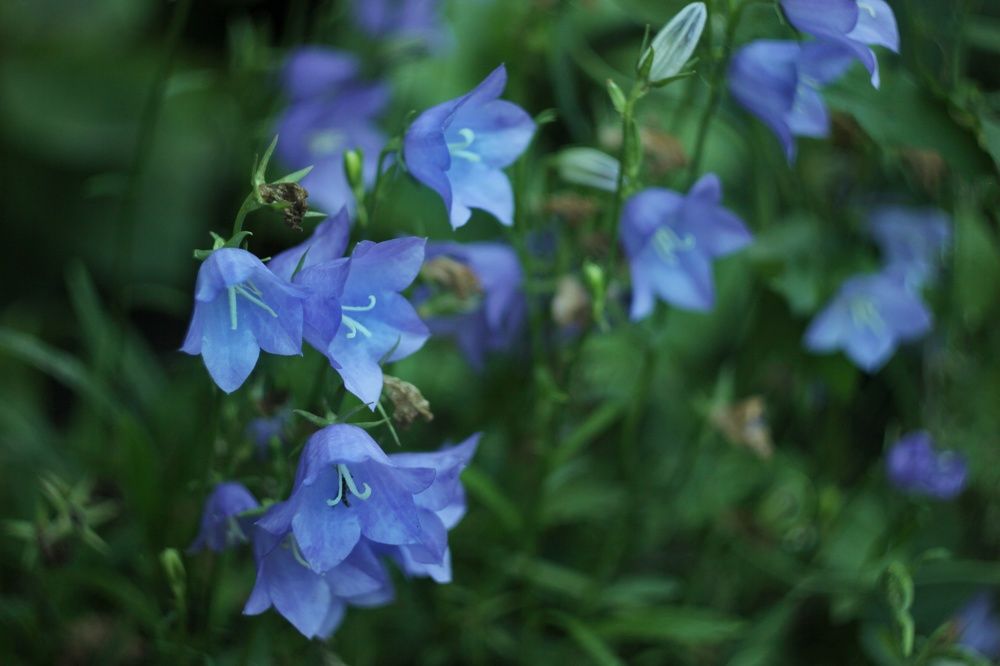 Photograph by Татьяна Аршинова