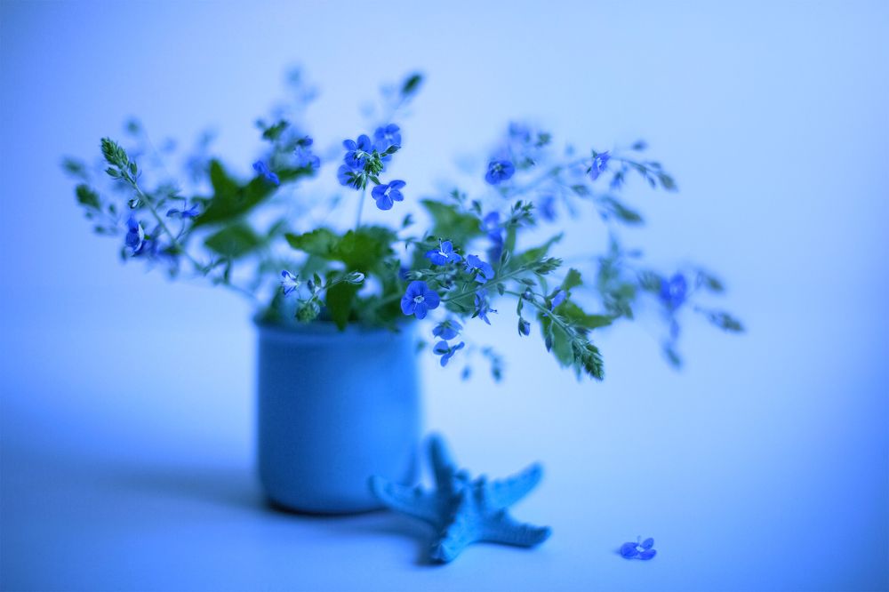 Photograph by Миронова Мила