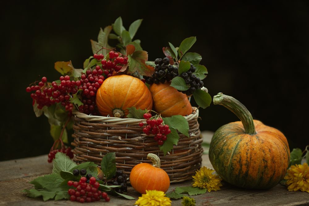 Натюрморт с тыквой