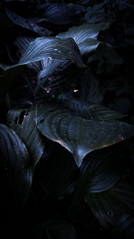 Photograph by Дарья Макаревич