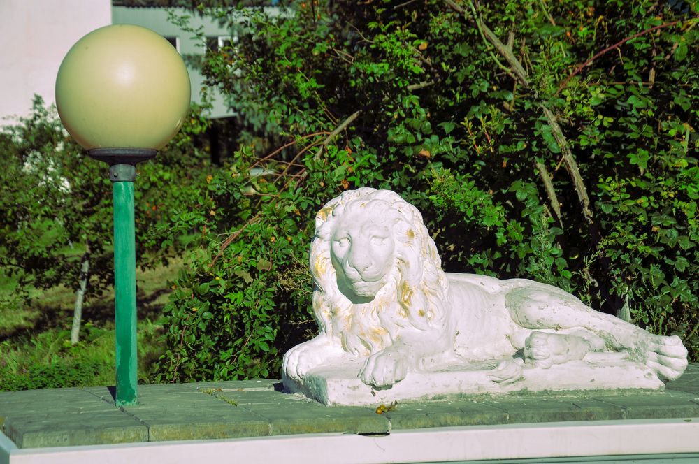 Photograph by Константин