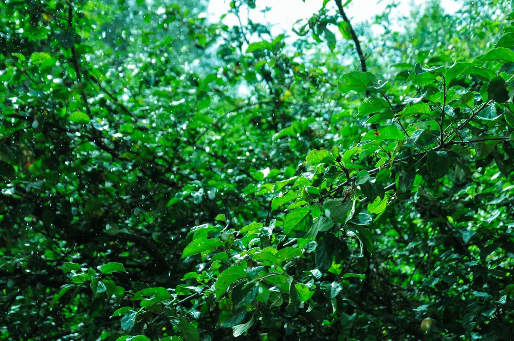 Photograph by Константин