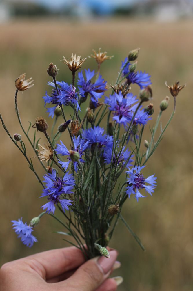 Фотография автора Лукашенко Ольга