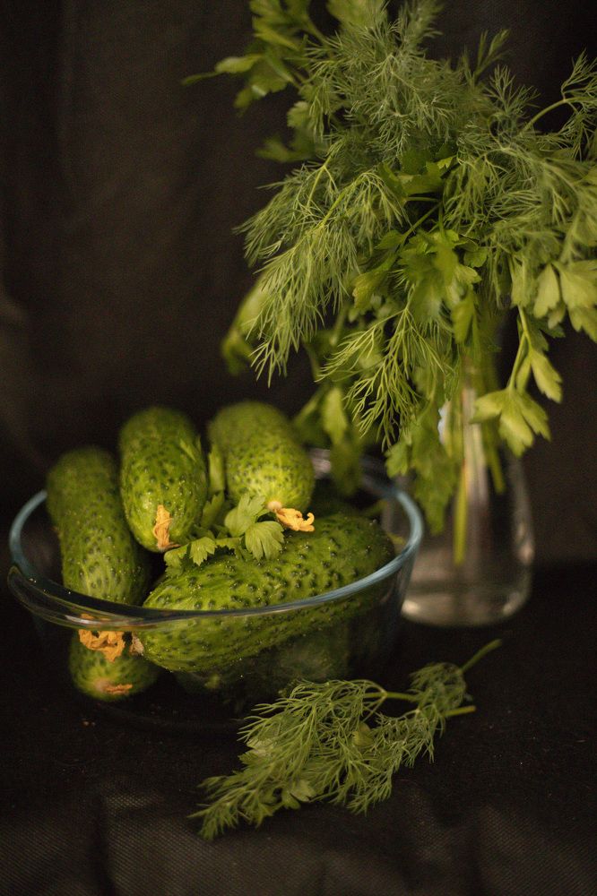 Photograph by Анастасия Рабочева