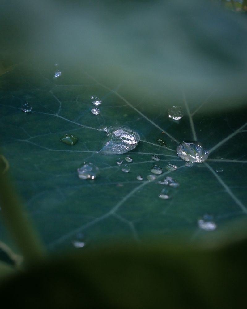 Photograph by Михаил Андронов