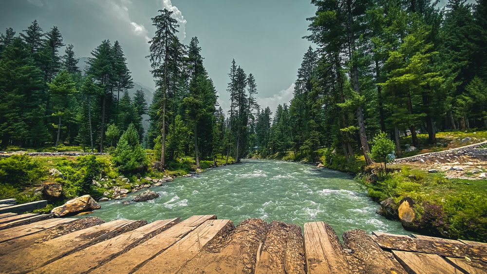 River between the trees.