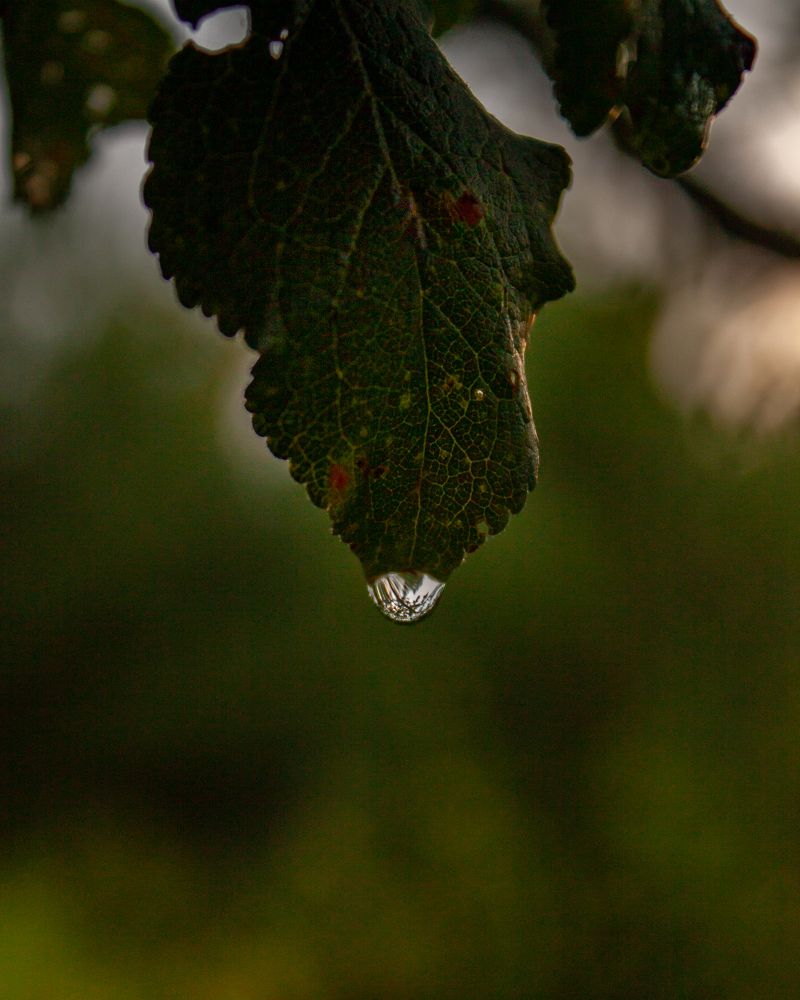 Photograph by Михаил Андронов