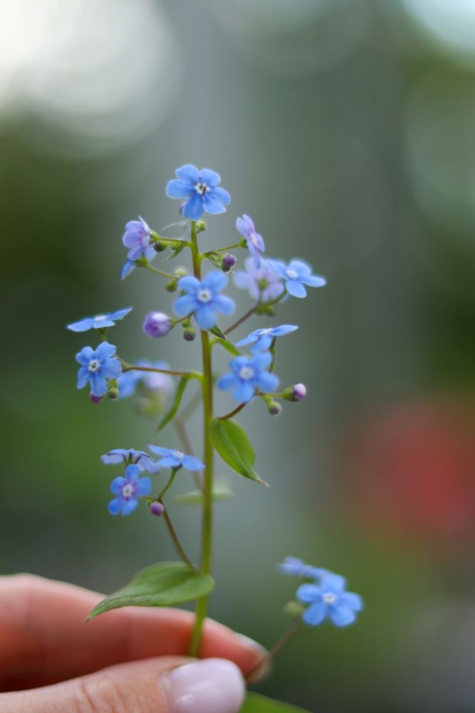 Photograph by Татьяна Стружкина