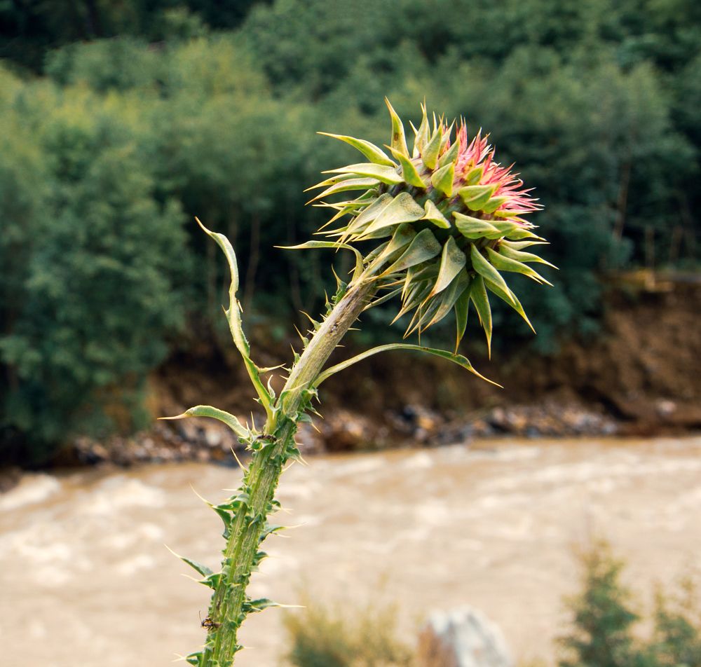 Фотография автора Татьяна Нарайкина