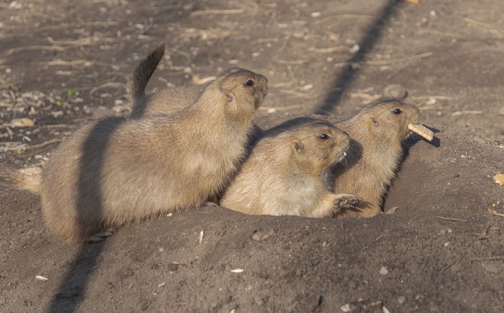 Photograph by Светлана Мельник