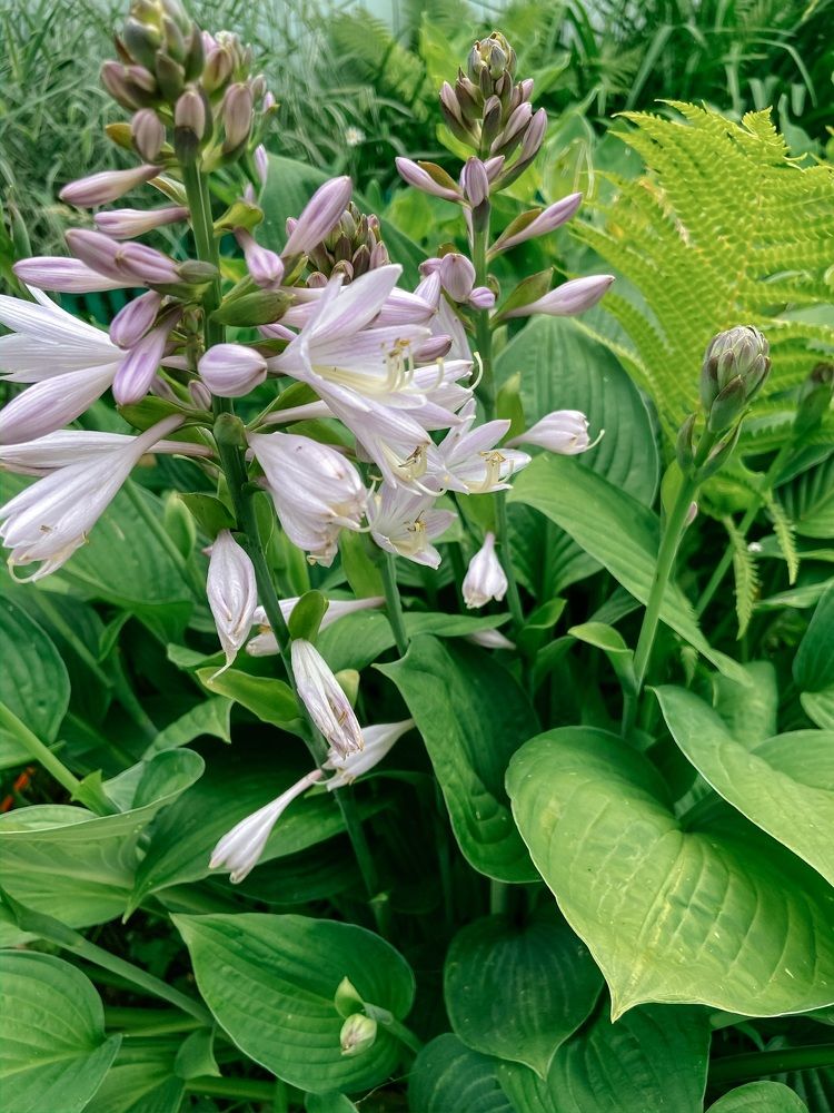 Photograph by Анна Леонова