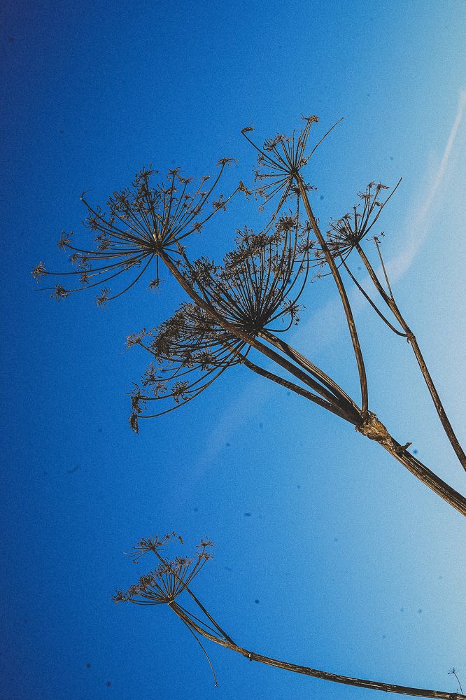 Photograph by Анастасия Исаичева