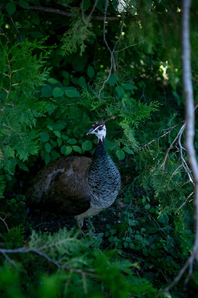 Photograph by Анна Изюмская