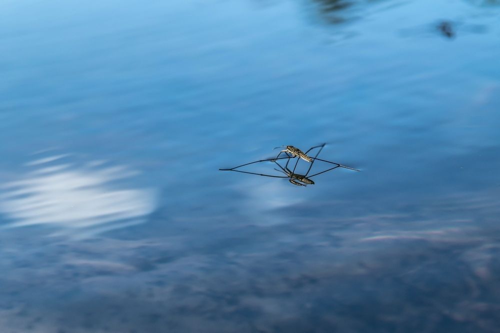 Photograph by Виктор Рыков