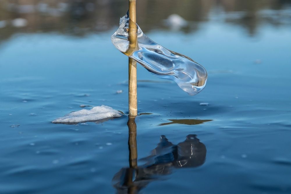 Photograph by Виктор Рыков