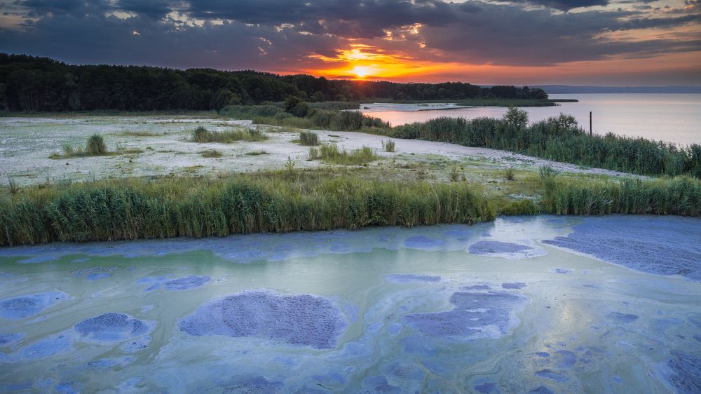Фотография автора Караваев Антон