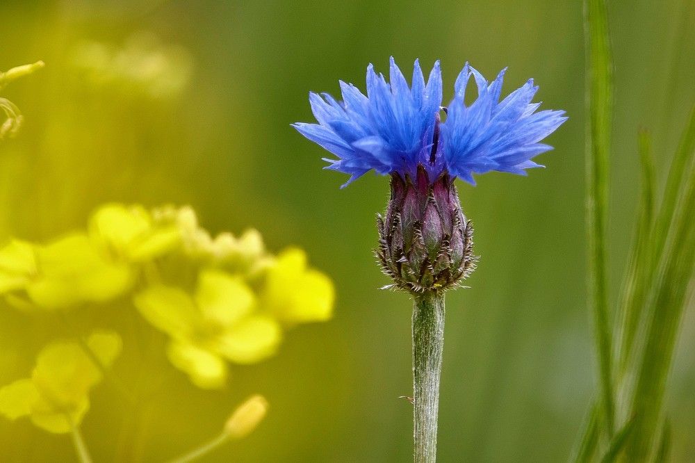 Photograph by Татьяна Полянская