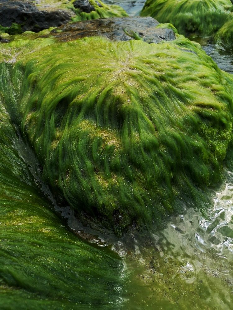 Photograph by Natali