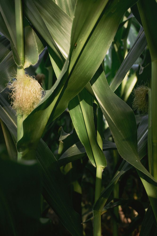 Photograph by Марьяна Искра