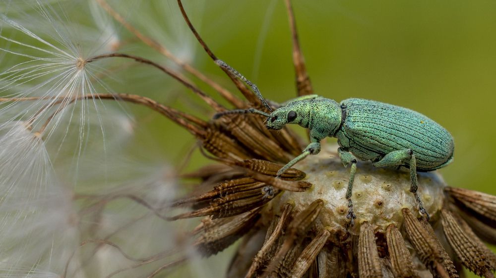 Photograph by Людмила Железнова