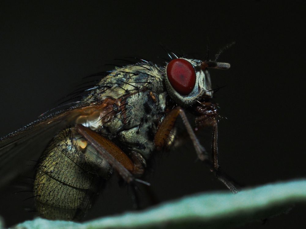 Photograph by Ирина Протченко