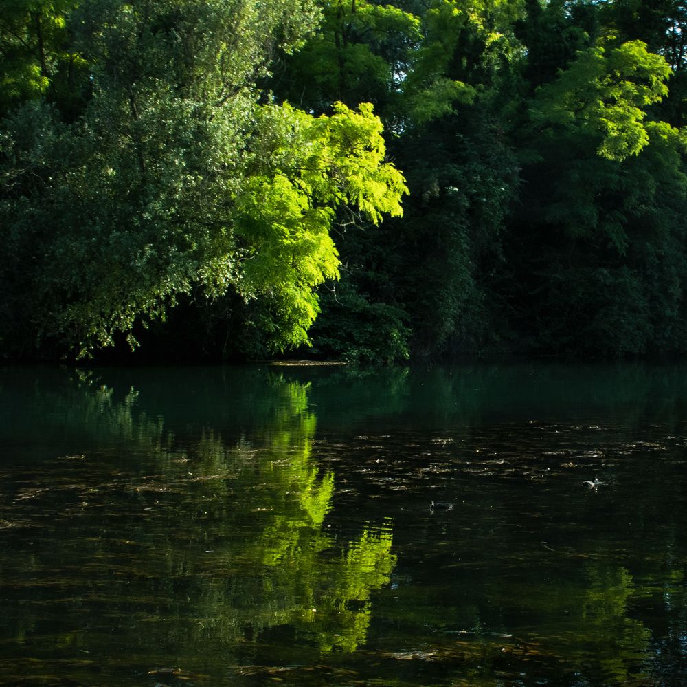 Photograph by Марьяна Искра