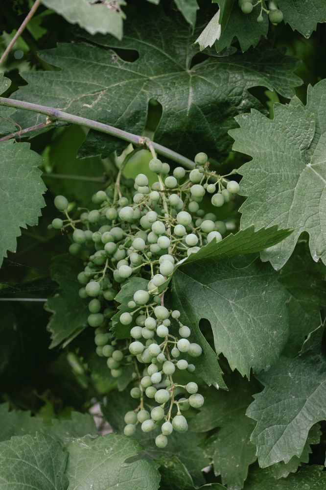 Photograph by Марьяна Искра