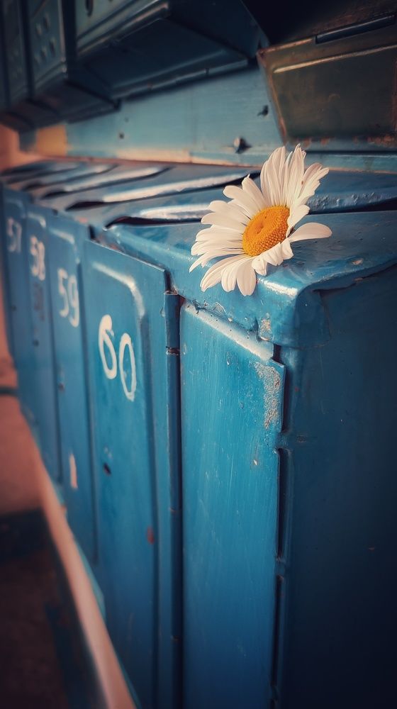 Фотография автора Анастасия Мамаева