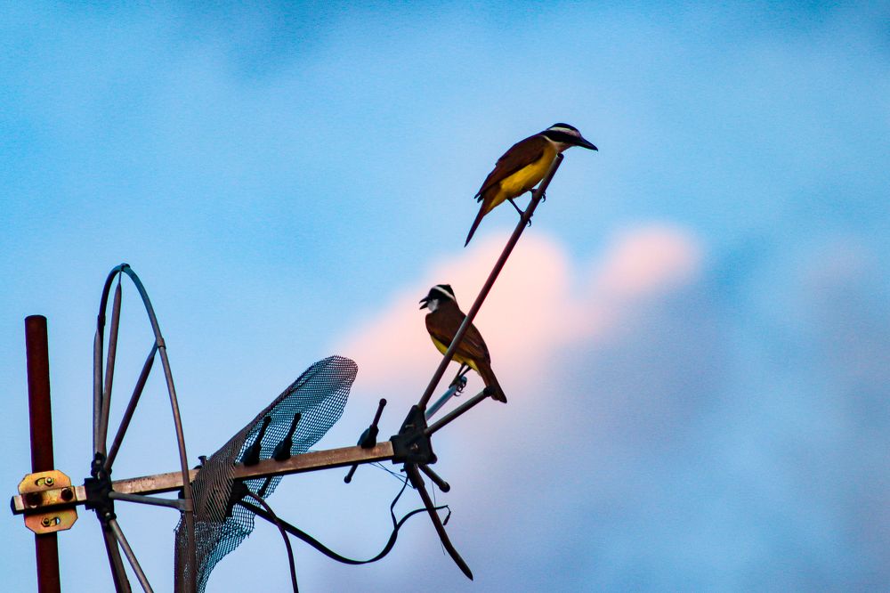 Photograph by Juliana