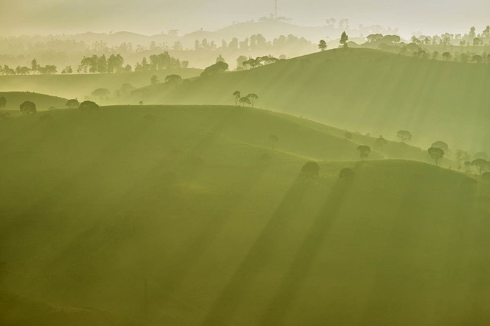 Photograph by Mujibur Rohman