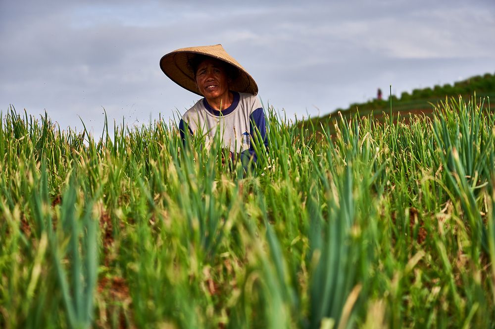 Photograph by Mujibur Rohman