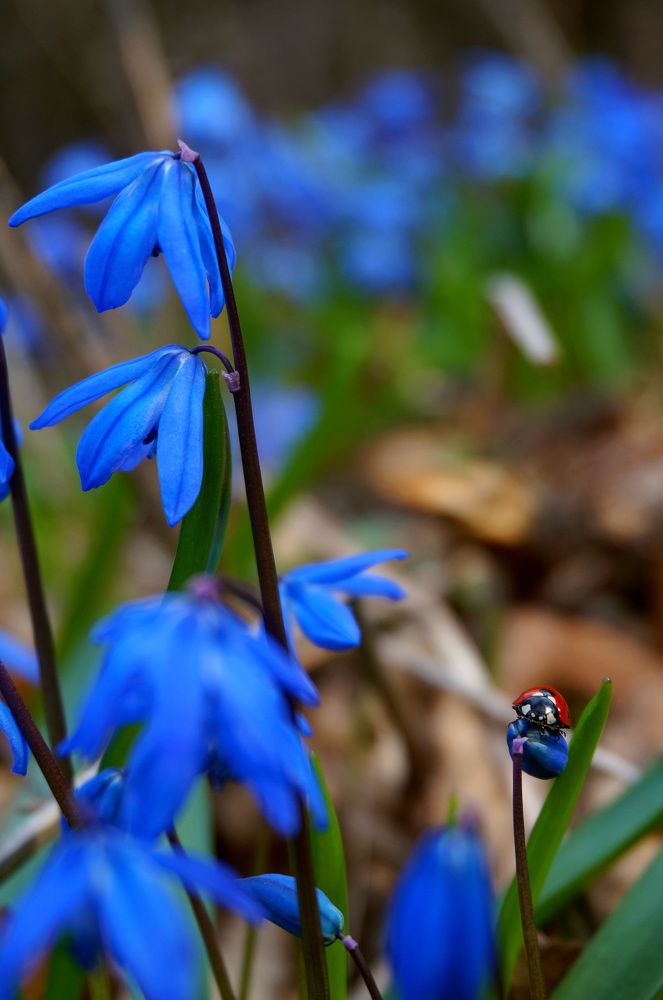 Photograph by Вадим Юрьевич