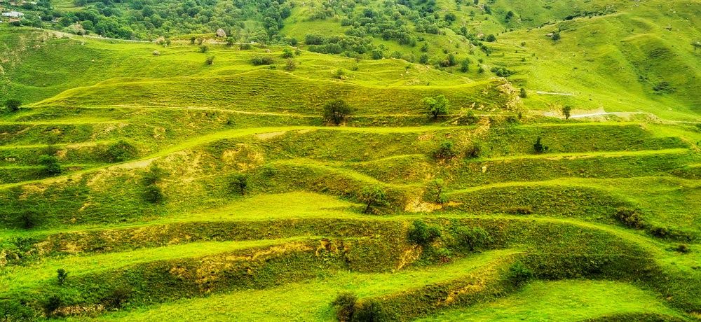 Photograph by Настя Хомастя