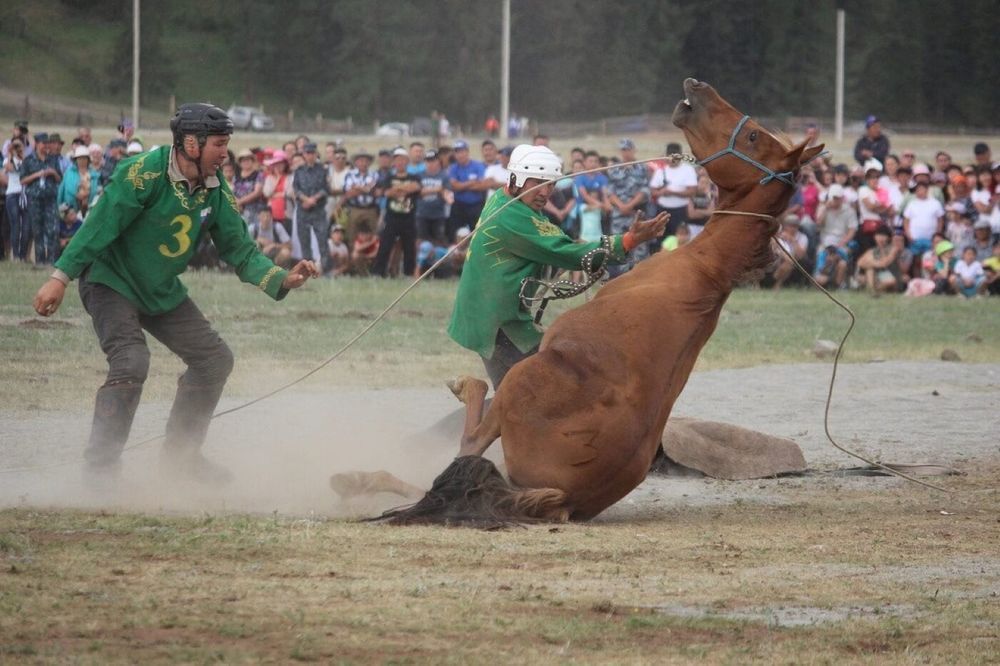 Не хочу под узду!