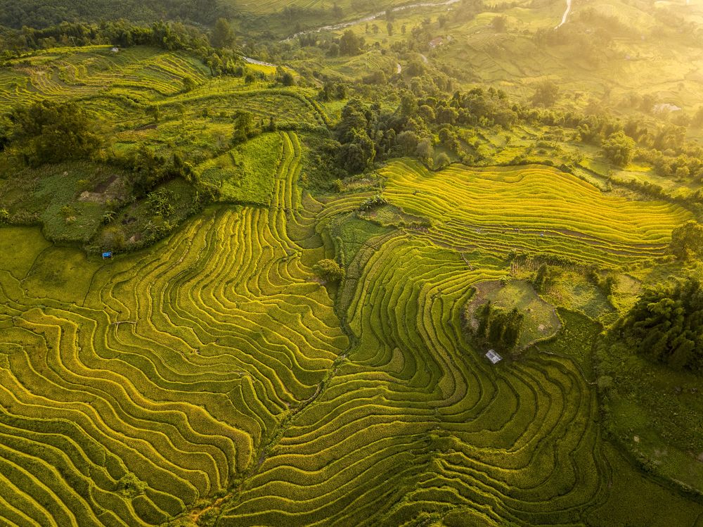 "The Pa" terraces valley in afternoon sunshine