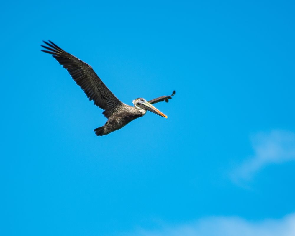 Photograph by Norberto Monagas